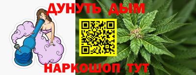 мдпв Татарск
