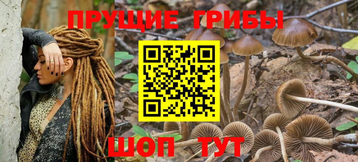 Псилоцибиновые грибы Нурлат
