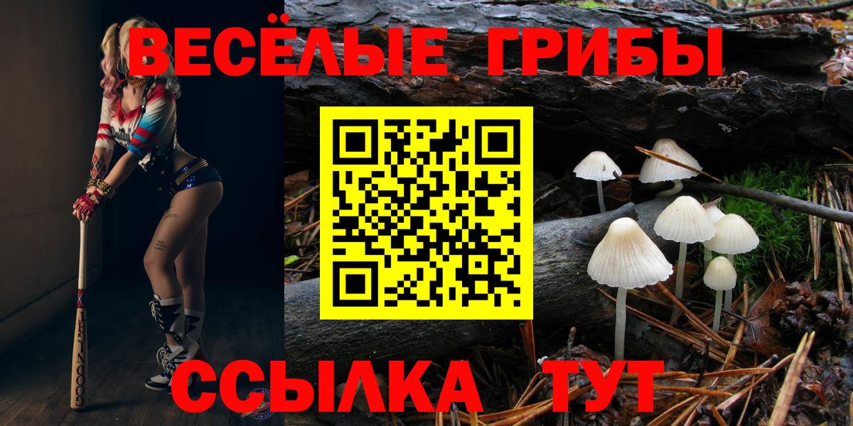 Псилоцибиновые грибы GOLDEN TEACHER Нурлат