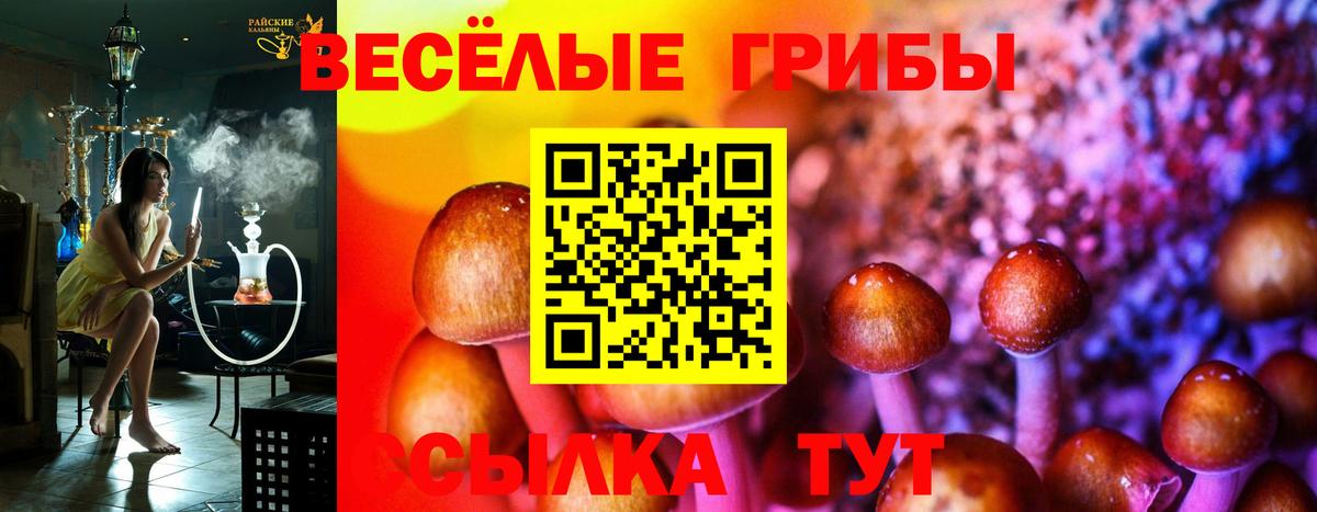Псилоцибиновые грибы мицелий  Вход с VPN  Нурлат  Псилоцибиновые грибы прущие грибы 